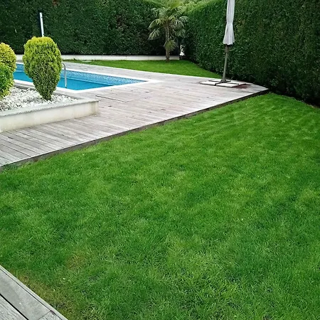 With Pool In Malinska-insel Krk 55189 Appartement *